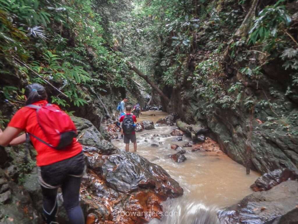 Bukit Sisek & Pelepah Falls - RooWanders