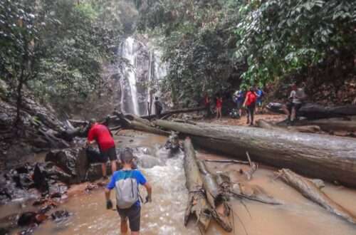 Bukit Sisek & Pelepah Falls, Malaysia - RooWanders