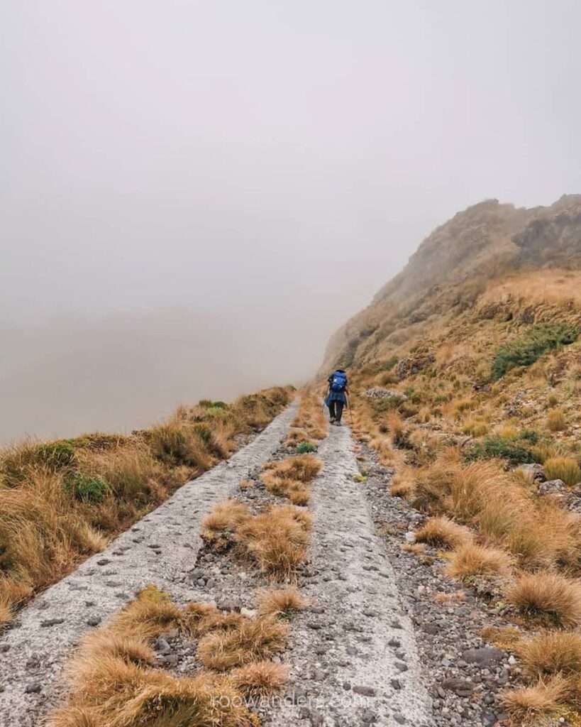 Fog towards the top, Taranaki, New Zealand - RooWanders