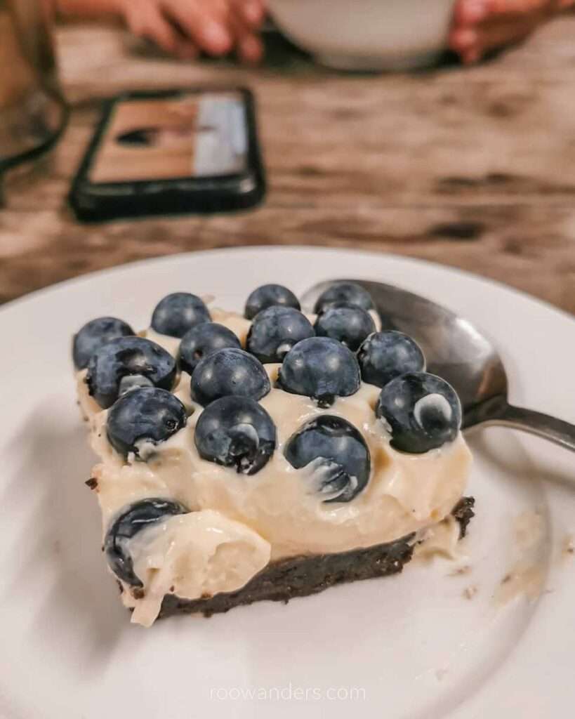 Blueberry cake, Blueberry Picking, New Zealand - RooWanders