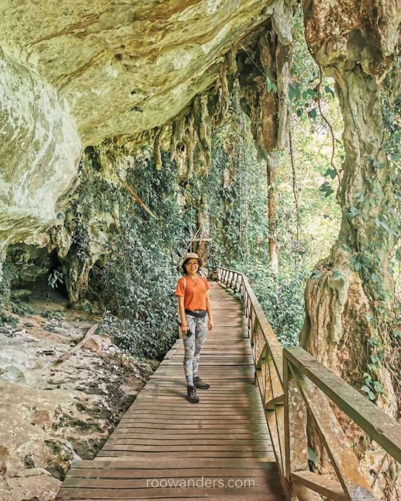 Fake Cave, Gua Niah, Miri, Malaysia - RooWanders