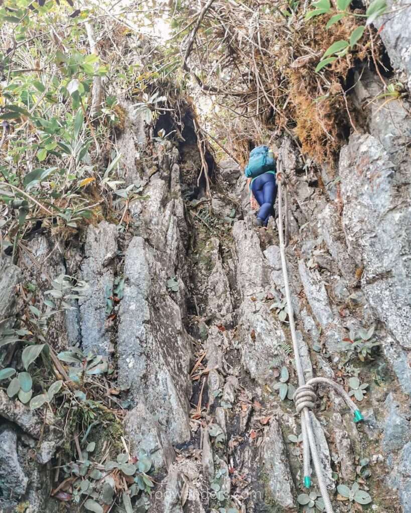 Climbing with ropes, Mulu National Park, Malaysia - RooWanders