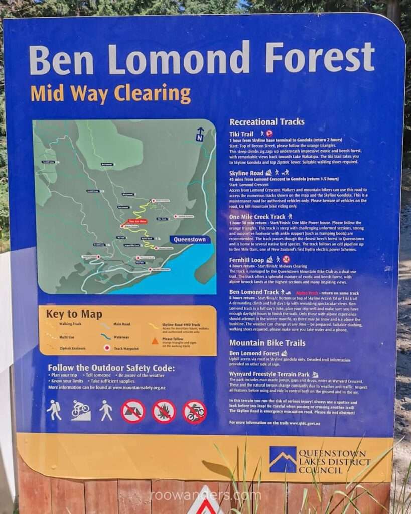 Ben Lomond Forest Half Way Clearing, New Zealand - RooWanders