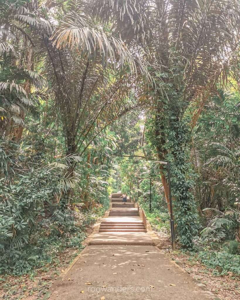 Marang Trail, Singapore - RooWanders