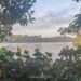 View of MacRitchie Reservoir, MacRitchie to Bukit Timah, Singapore - RooWanders