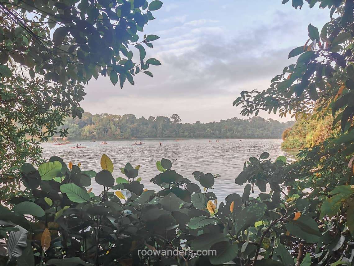 View of MacRitchie Reservoir, MacRitchie to Bukit Timah, Singapore - RooWanders