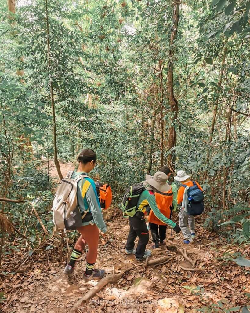 Trekking in the forest to Hang En, Vietnam - RooWanders