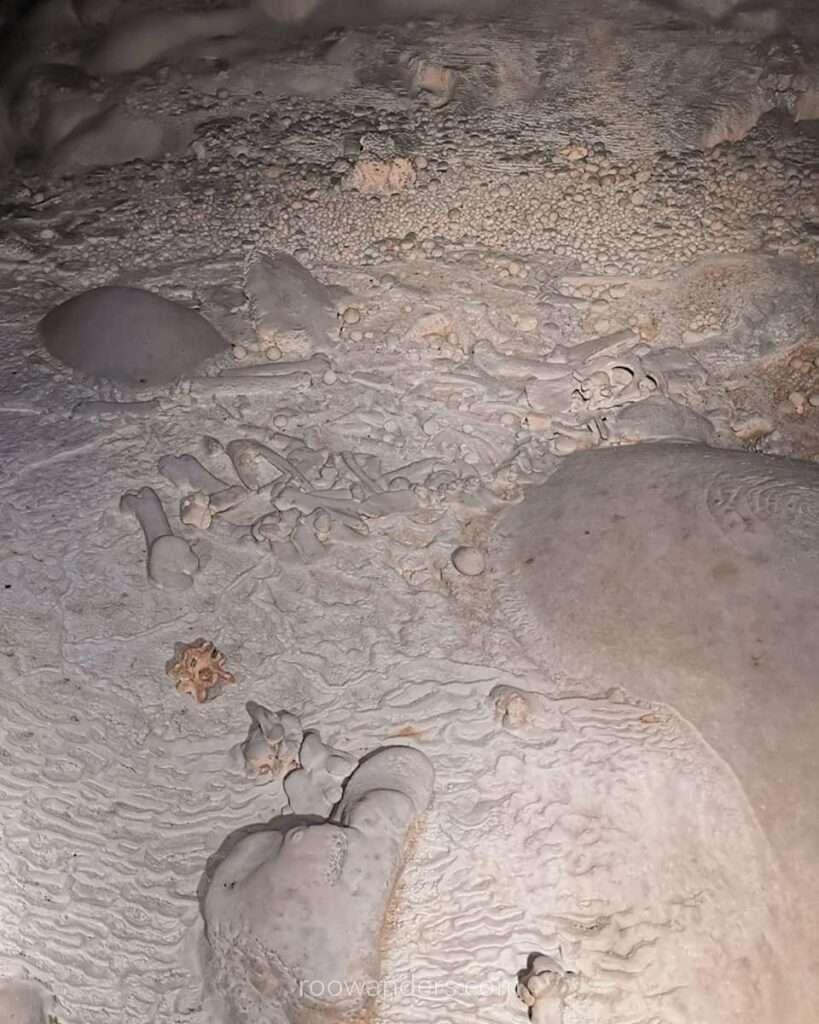 Fossil, Vietnam - RooWanders