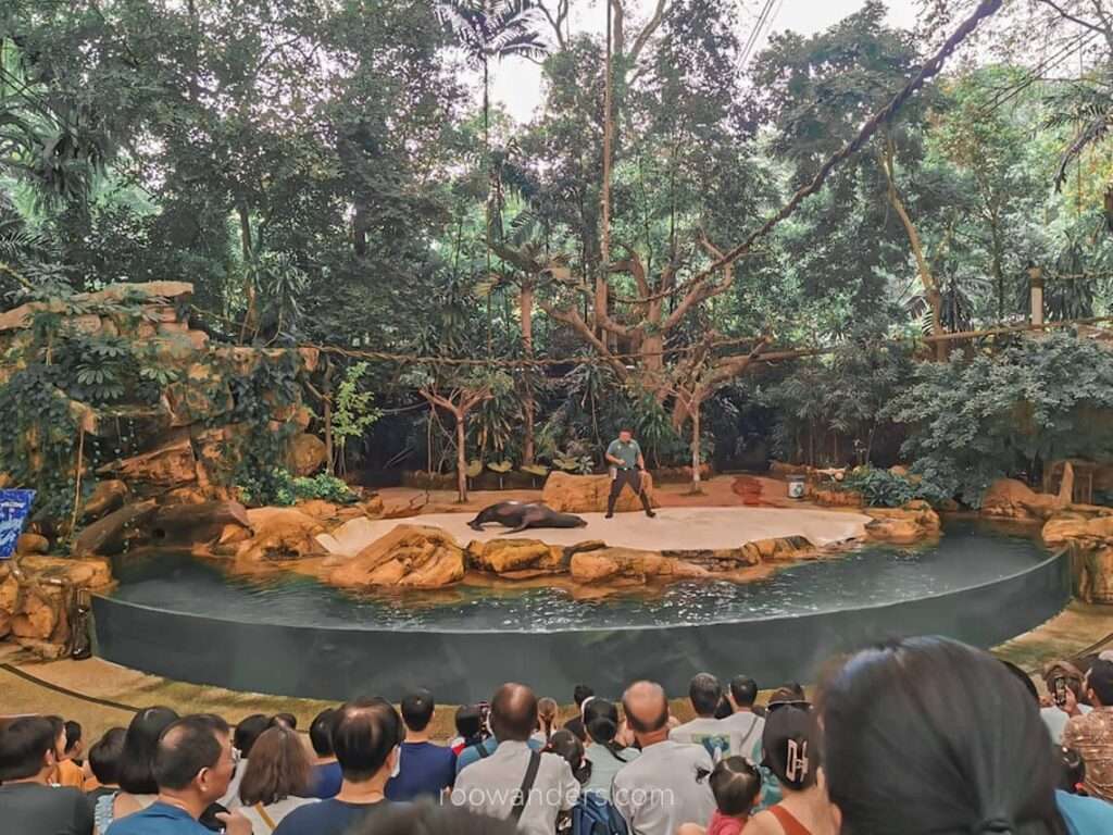 Mandai Zoo Splash Safari, Singapore - RooWanders