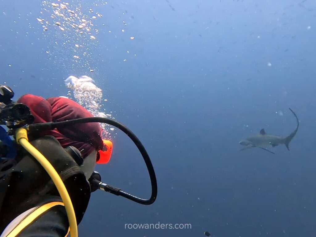 Cebu Malapascua Scuba Dive, Philippines - RooWanders