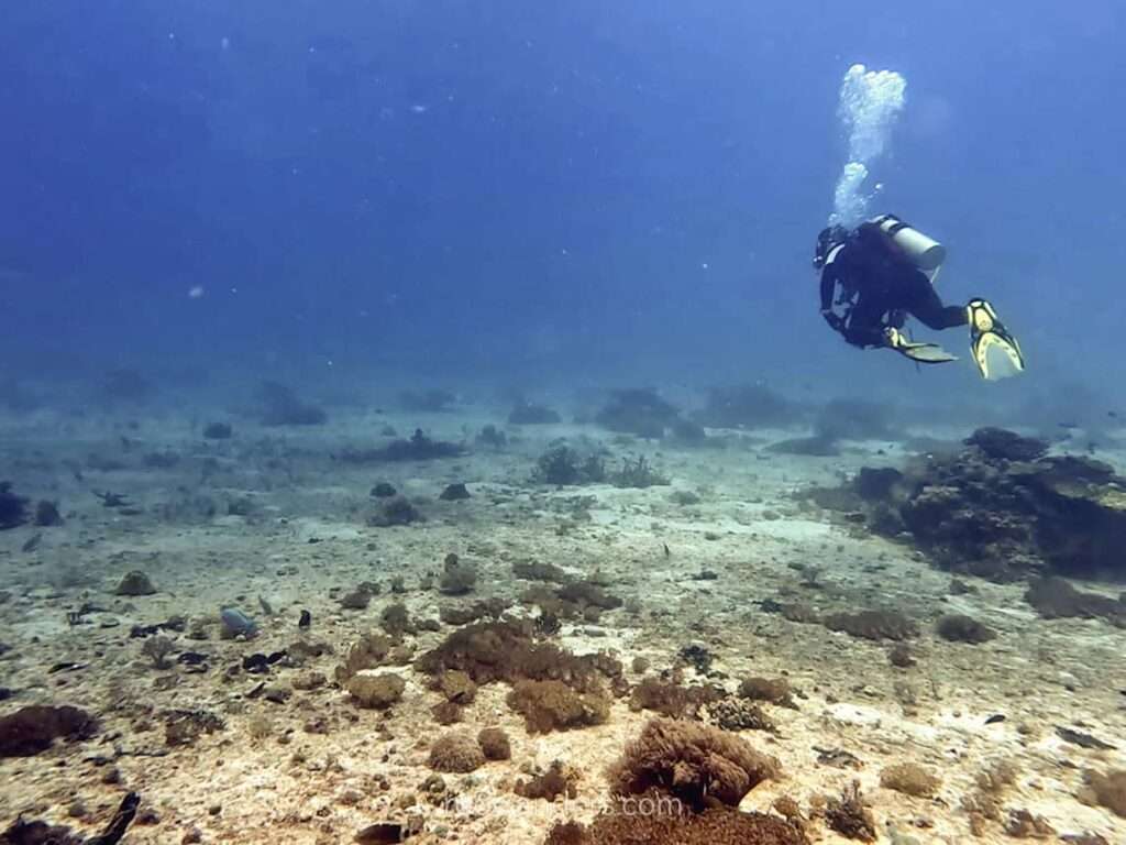 Cebu Malapascua Scuba Dive at Monad Shoal, Philippines - RooWanders