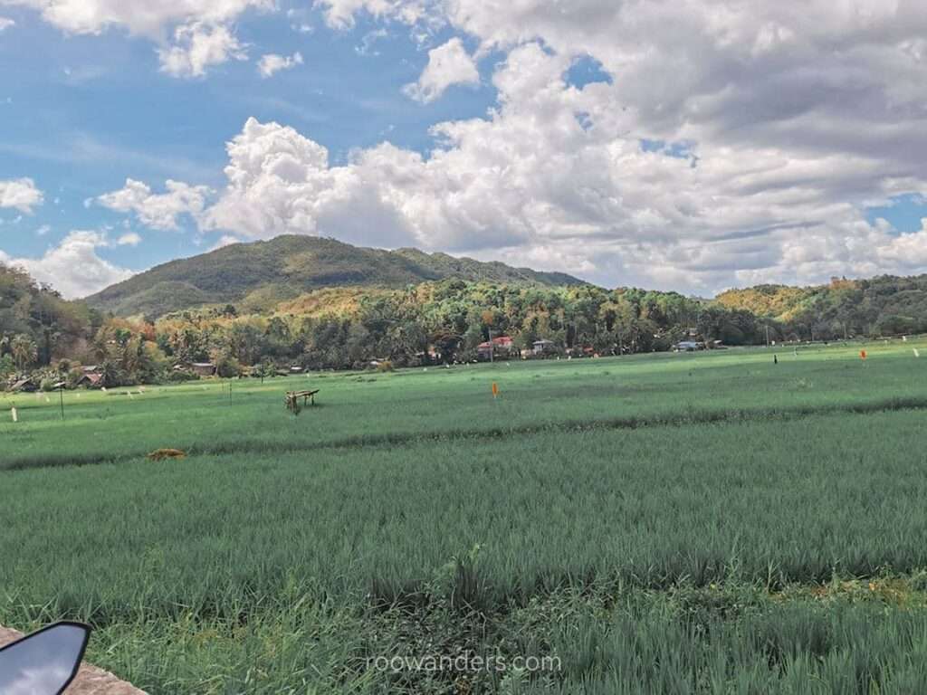 Cebu Bohol Rice Fields, Philippines - RooWanders